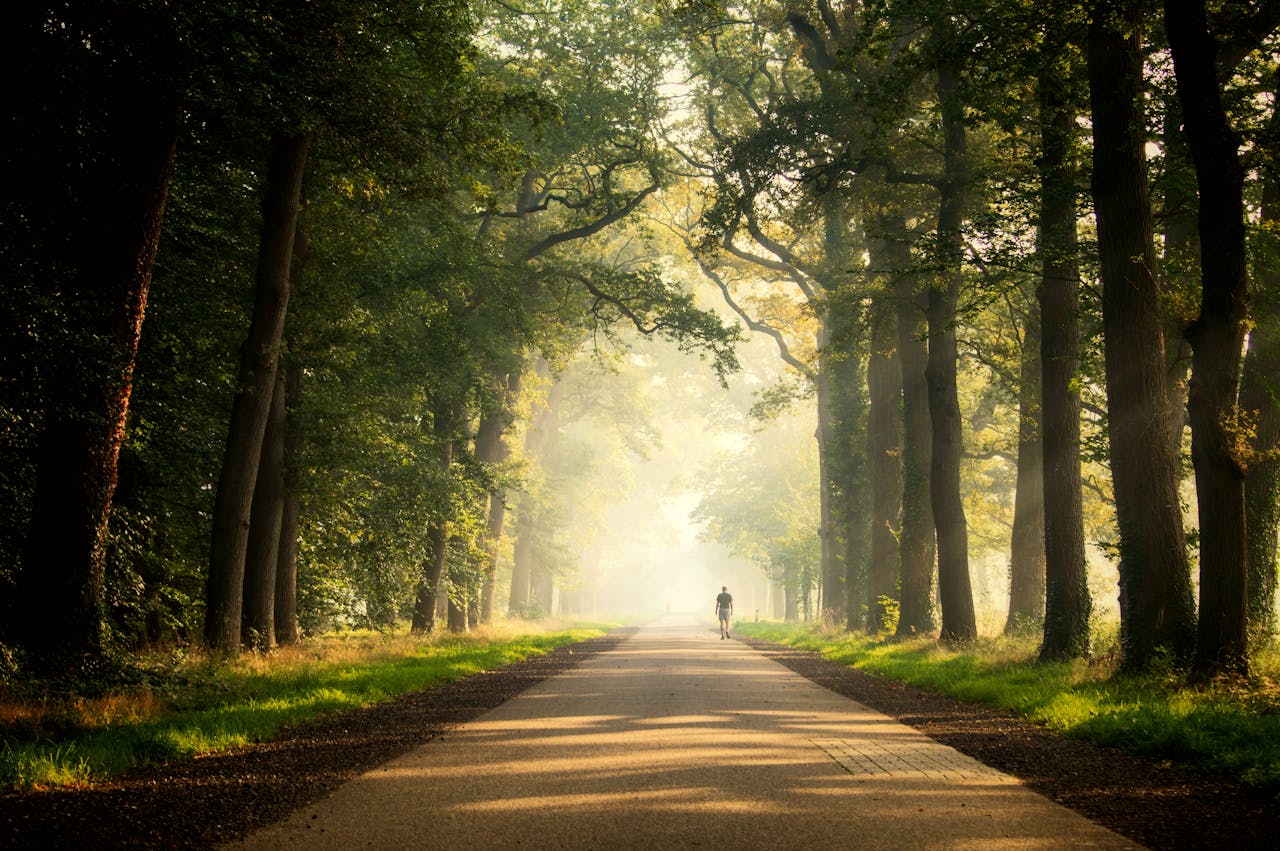 Mastering the First Impression: Your intriguing post title goes here A lone person walks on a misty morning through a serene forest road in Almelo, Netherlands.