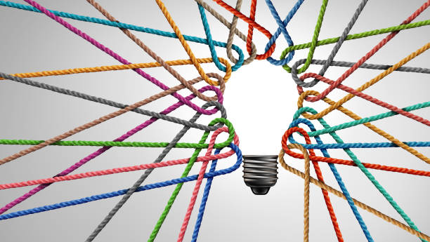 organisatieadvies Lampje Idee